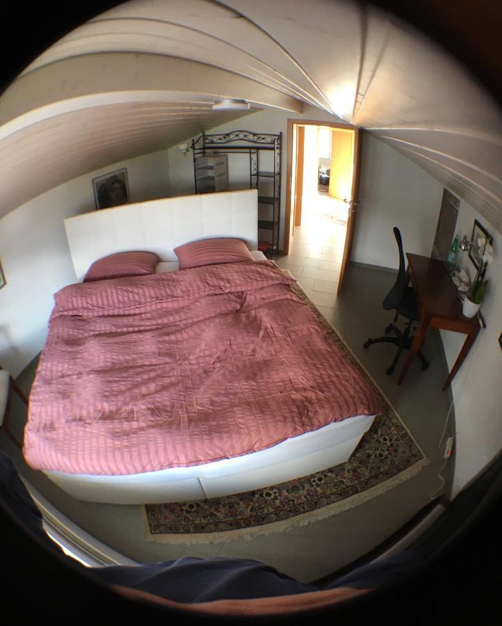 No Such Thing Bed & Breakfast ชวีซ ภายนอก รูปภาพ