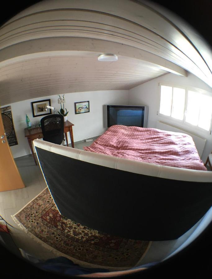 No Such Thing Bed & Breakfast ชวีซ ภายนอก รูปภาพ
